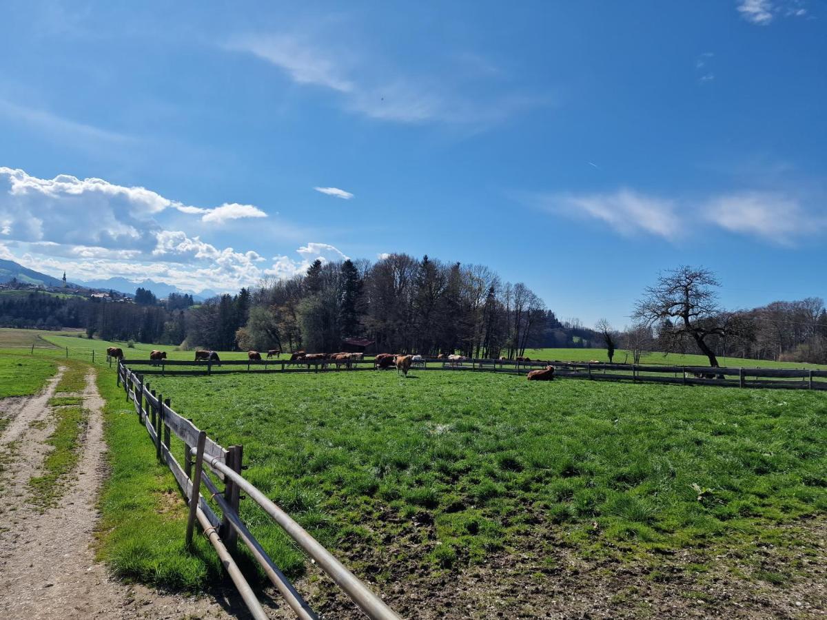 Seeberghof Frasdorf Exterior foto